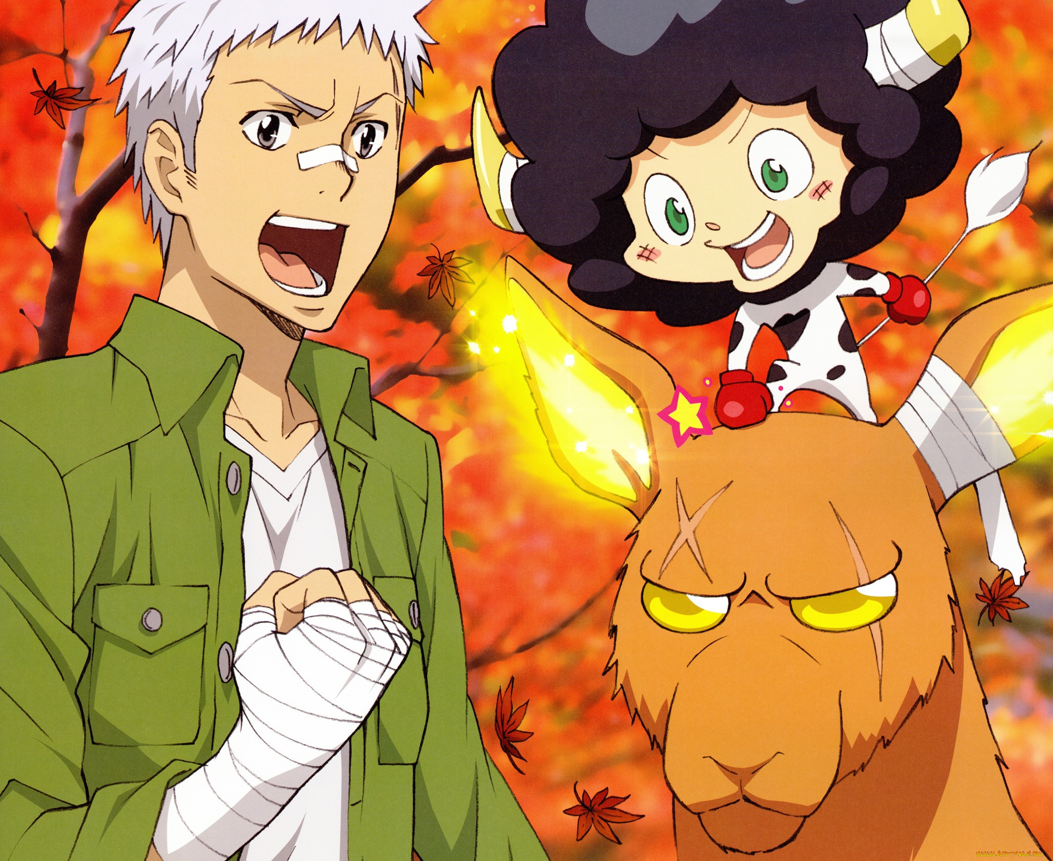 , katekyo hitman reborn, , 